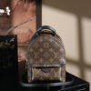 Palm Springs Mini 迷你双肩背包M44873