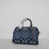 Coach CH370 Mini Rowan小波士顿枕头包