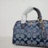 Coach CH370 Mini Rowan小波士顿枕头包