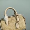 Coach CH160 Mini Rowan小波士顿枕头包